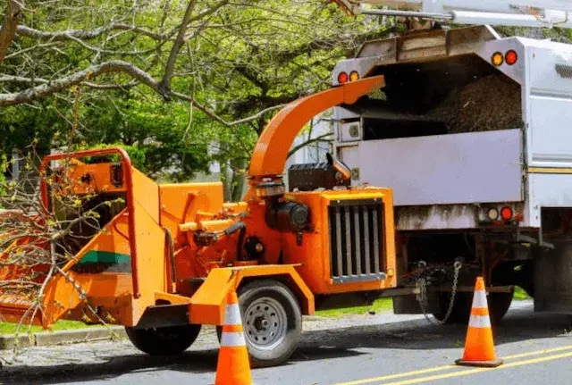 tree removal somerset nj