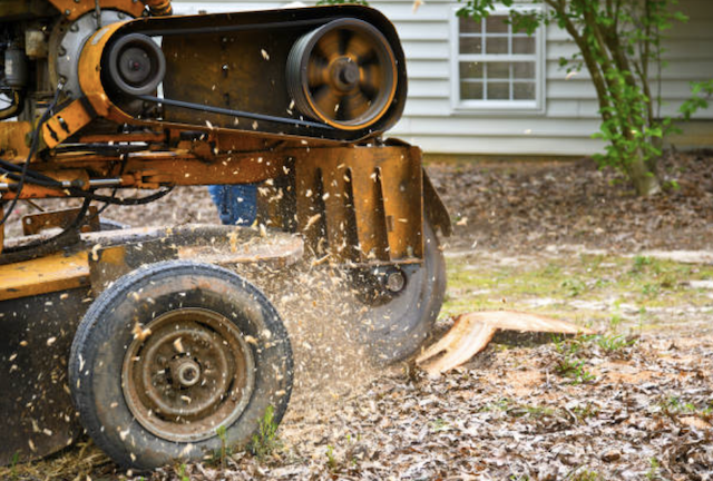 stump grinding somerset nj